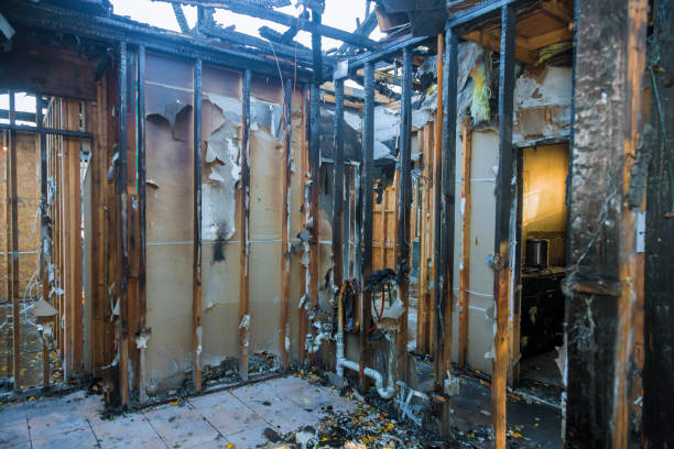 Professional Smoke Damage Removal technician working in Prairie Grove, IL